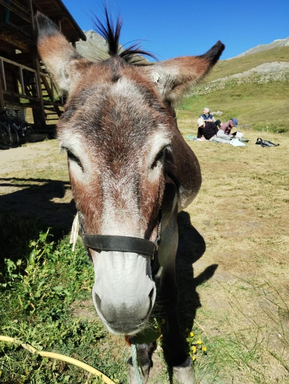 Locazione Turistica Varaita-Brossasco Luaran gambar